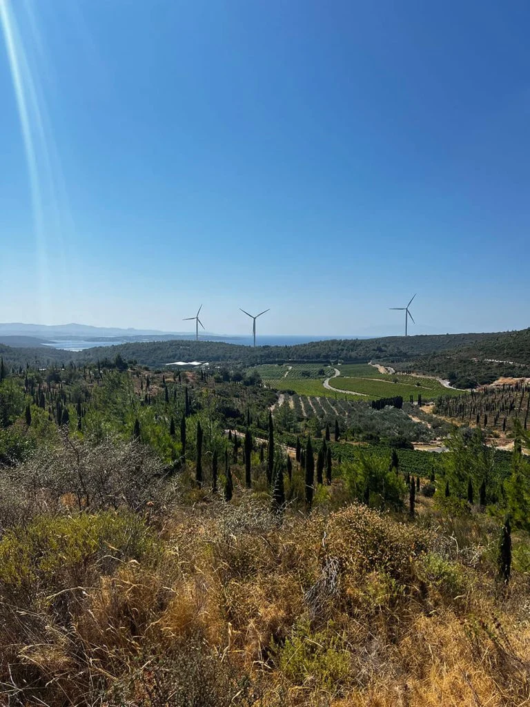 Doen in Çesme (Turkije) 13 Urla wijnroute