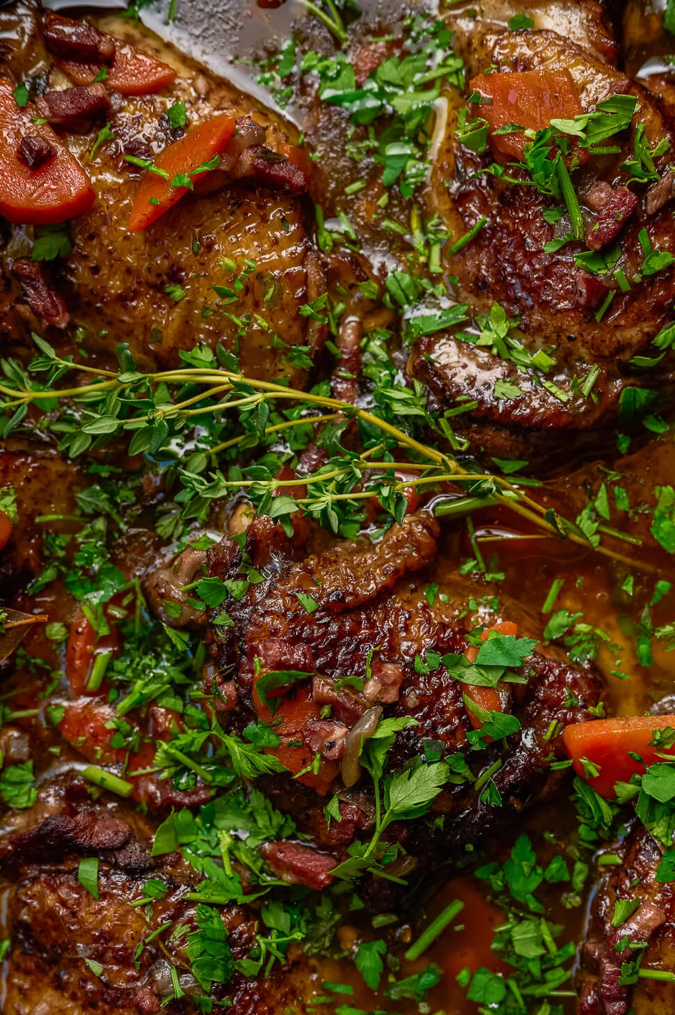 Coq au Vin 4 coq au vin