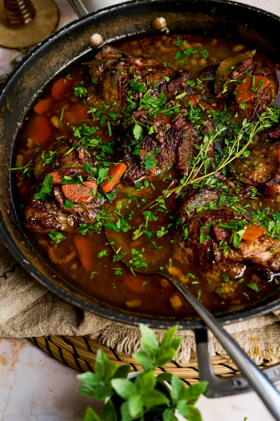 Coq au Vin 2 coq au vin recept
