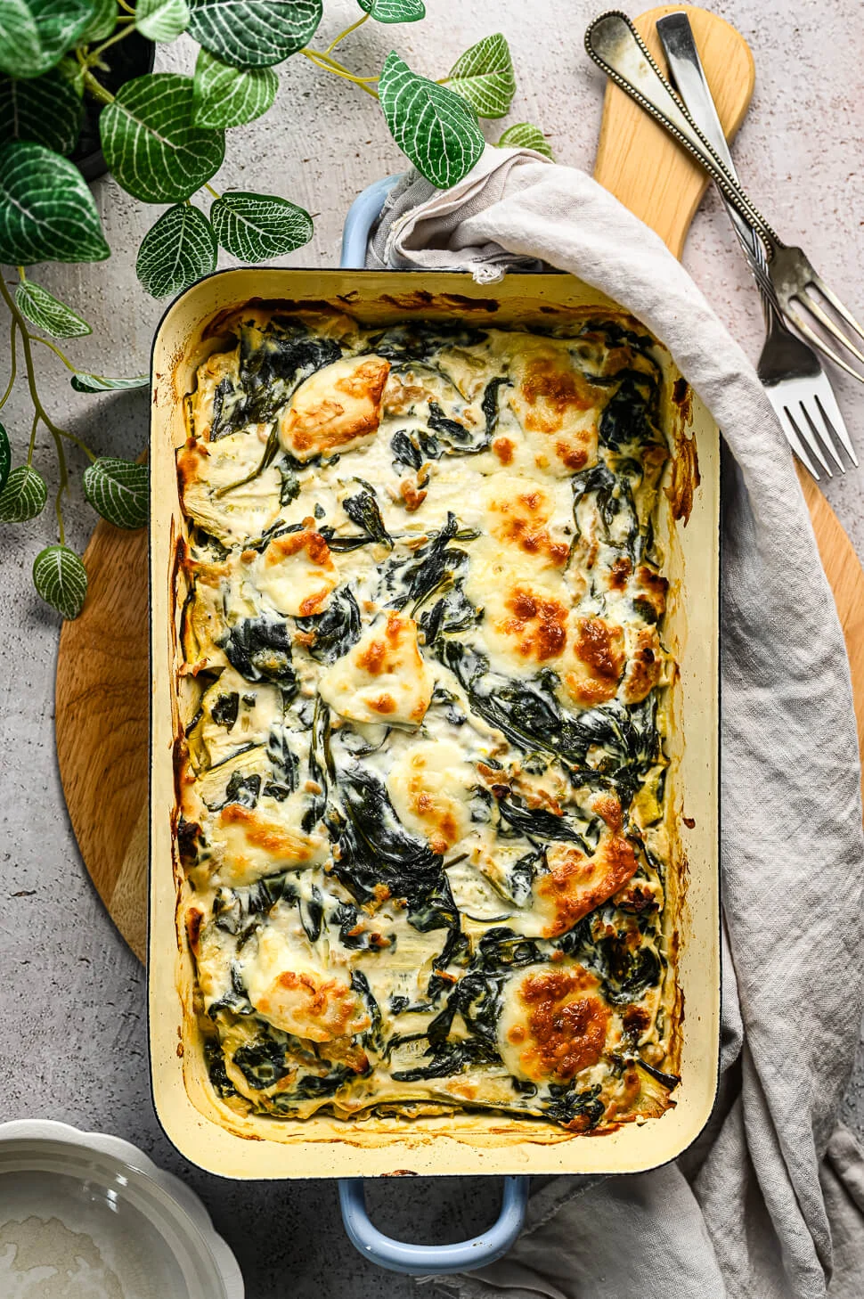 Courgette lasagne met ricotta 1 courgette lasagne ricotta