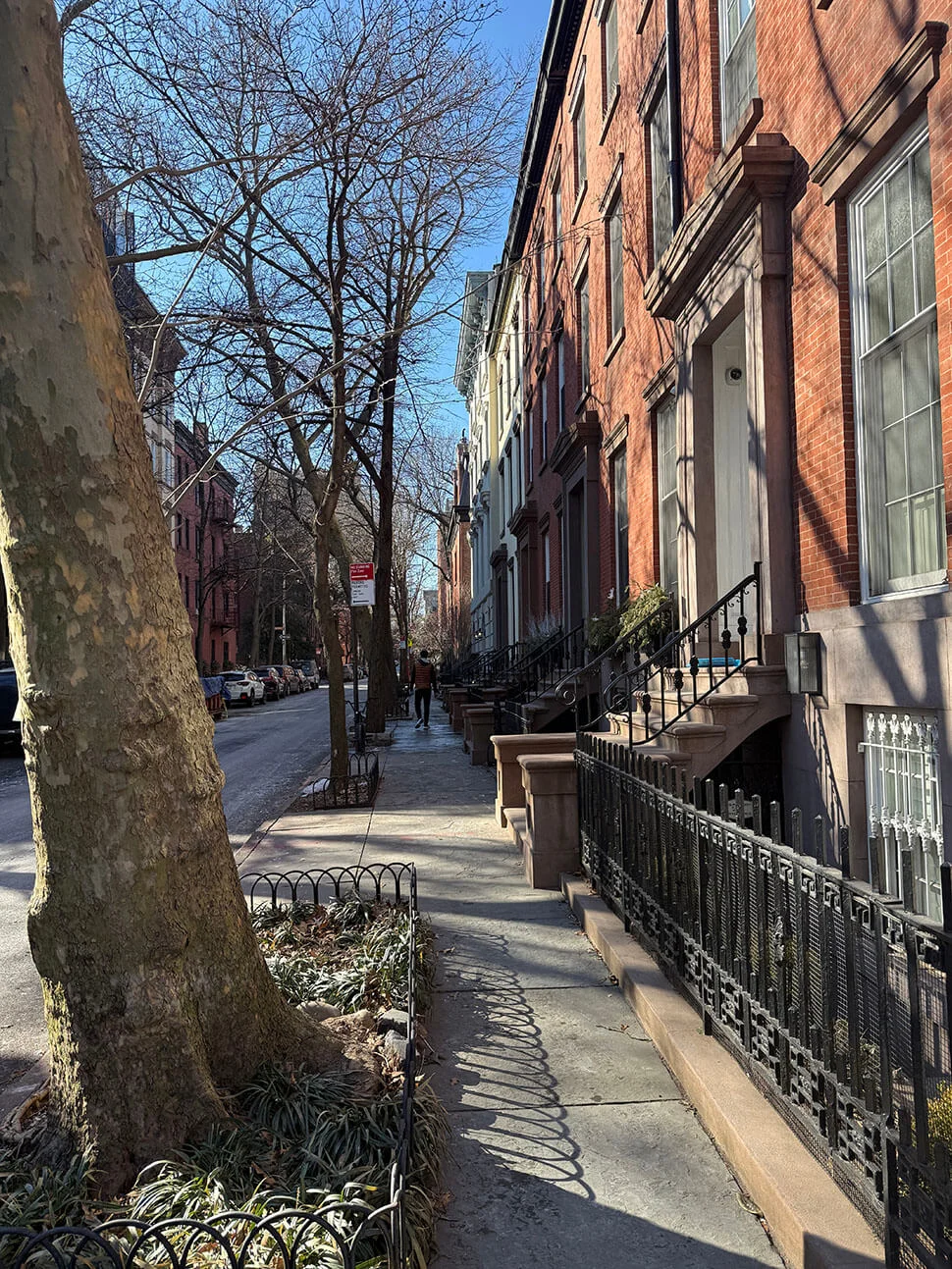 Brooklyn heights