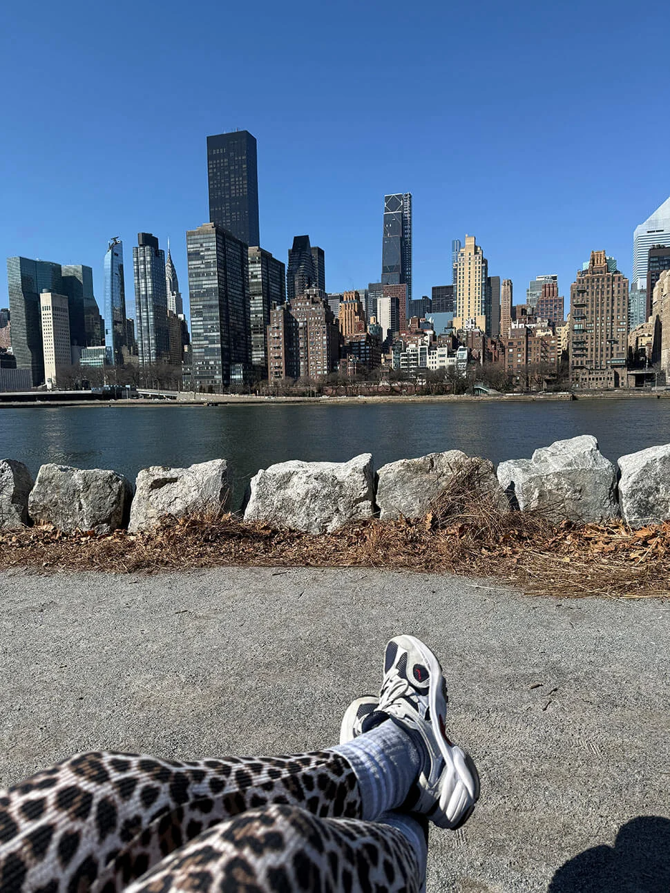 Roosevelt Island